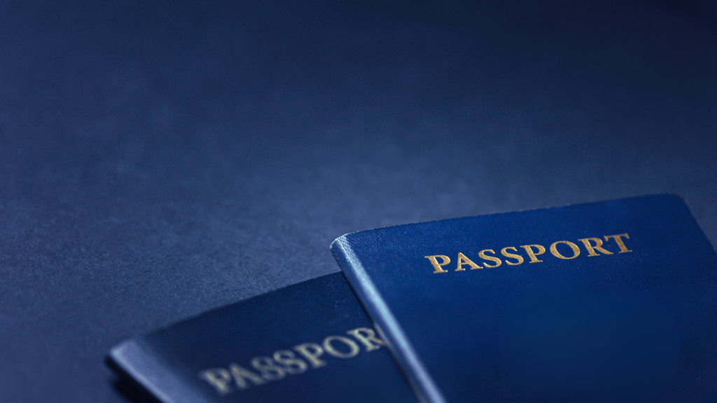 Citizenship by Investment Programms